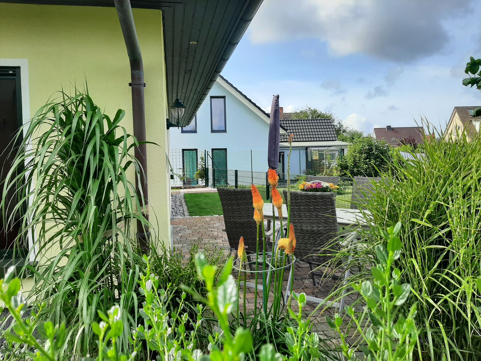 Garten mit Gräsern und Blumen