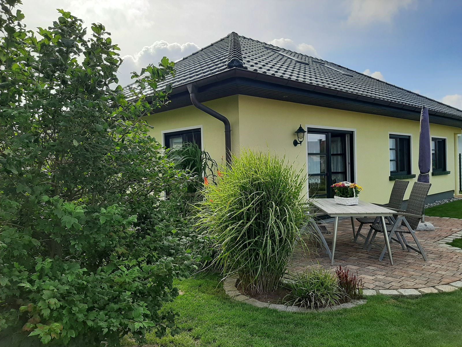 Blick über den Garten auf das Haus